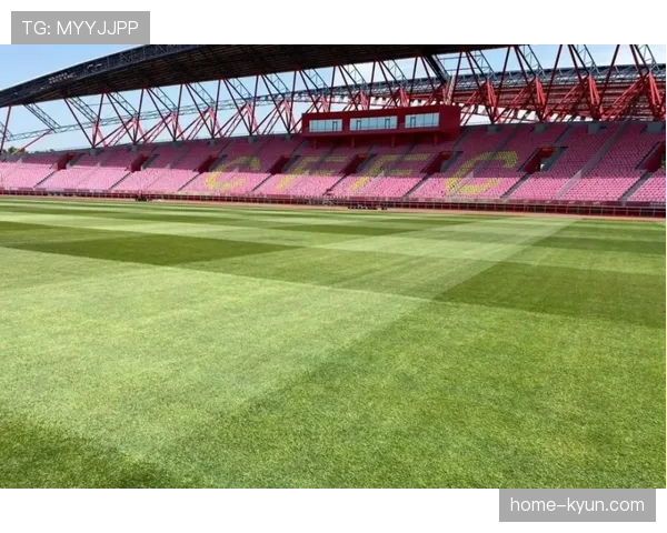 乌迪内斯俱乐部宣布，其主场弗留利球场将铺设新型混合草皮，旨在提供更稳定的场地条件以减少防守滑铲受伤风险